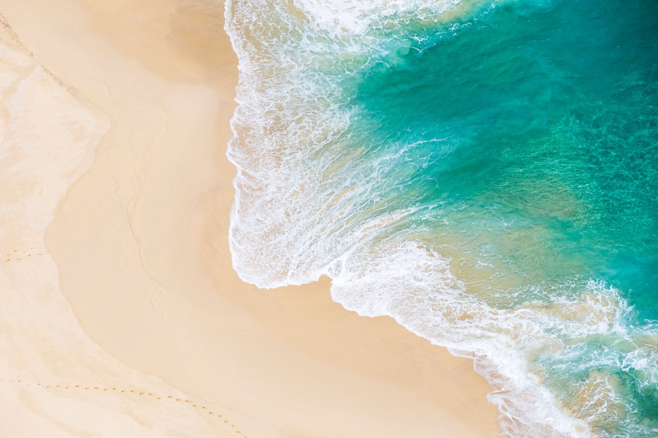 reinis-birznieks-lu5uhEAy2lI-unsplash