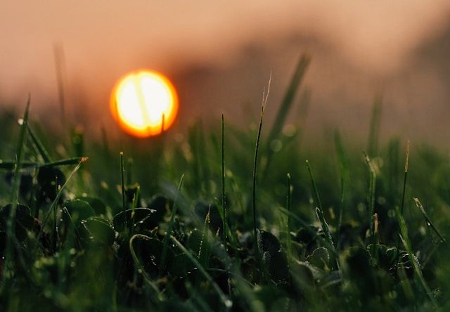 aaron-burden-gKHSEXK69vs-unsplash