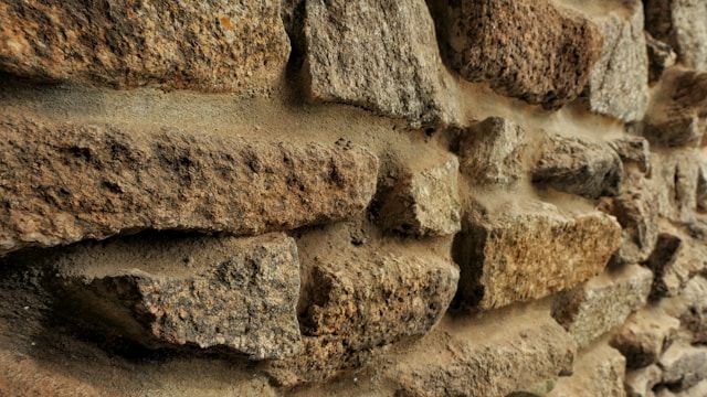 patti-black-XBFr1_ks7aI-unsplash